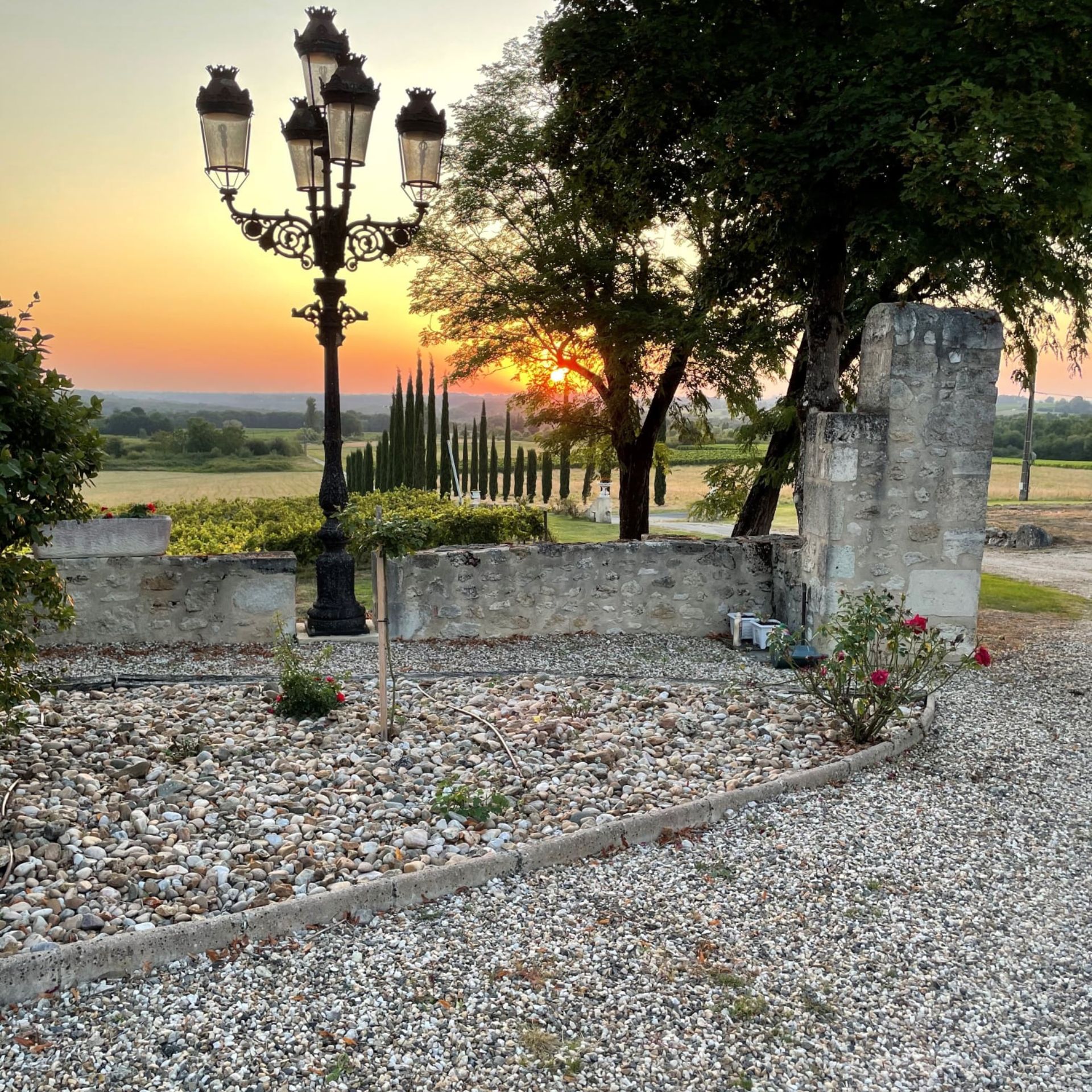 A sunset at a vineyard property estate